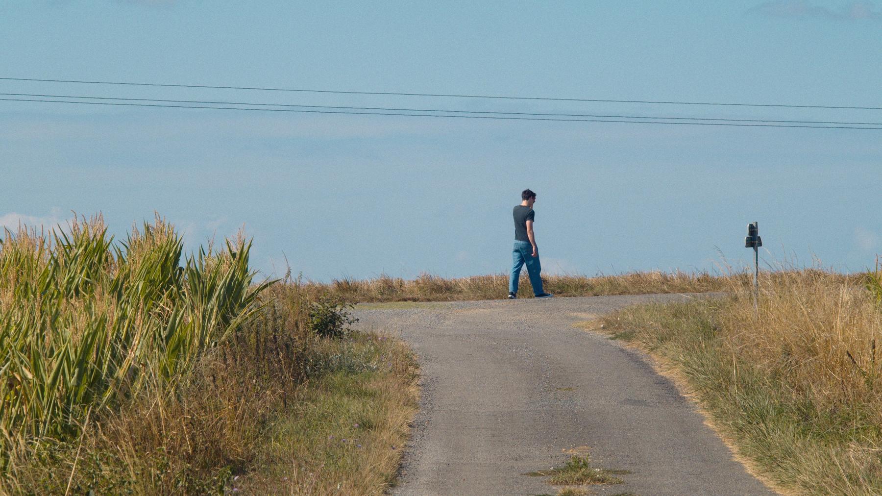 Repérage : une route grise qui monte entre un champ de maïs et les herbes hautes, deux fils électriques dans le ciel.